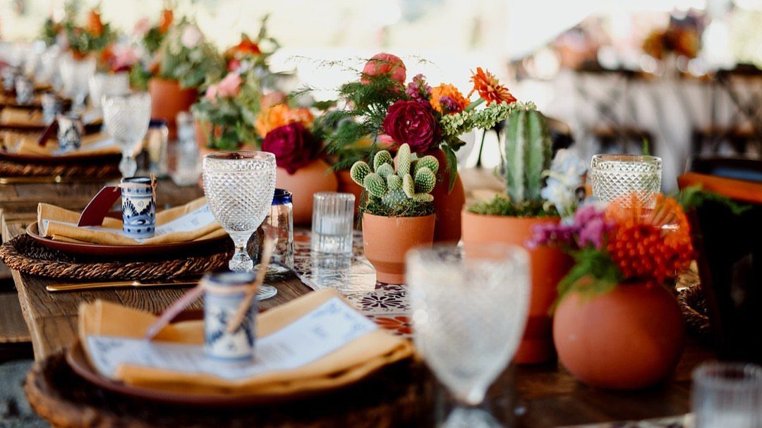 Small cacti and colorful flowers in terracotta pots as table centerpieces.