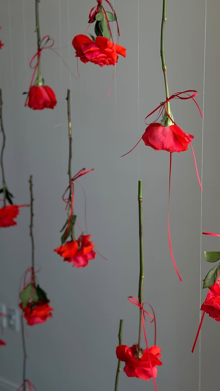 Red roses tied with red ribbons hanging vertically against a grey wall