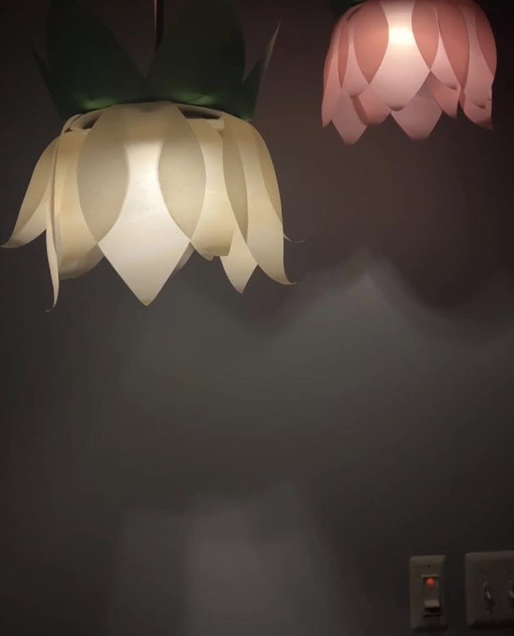 Flower-shaped paper lanterns in cream and pink hanging against a grey wall.