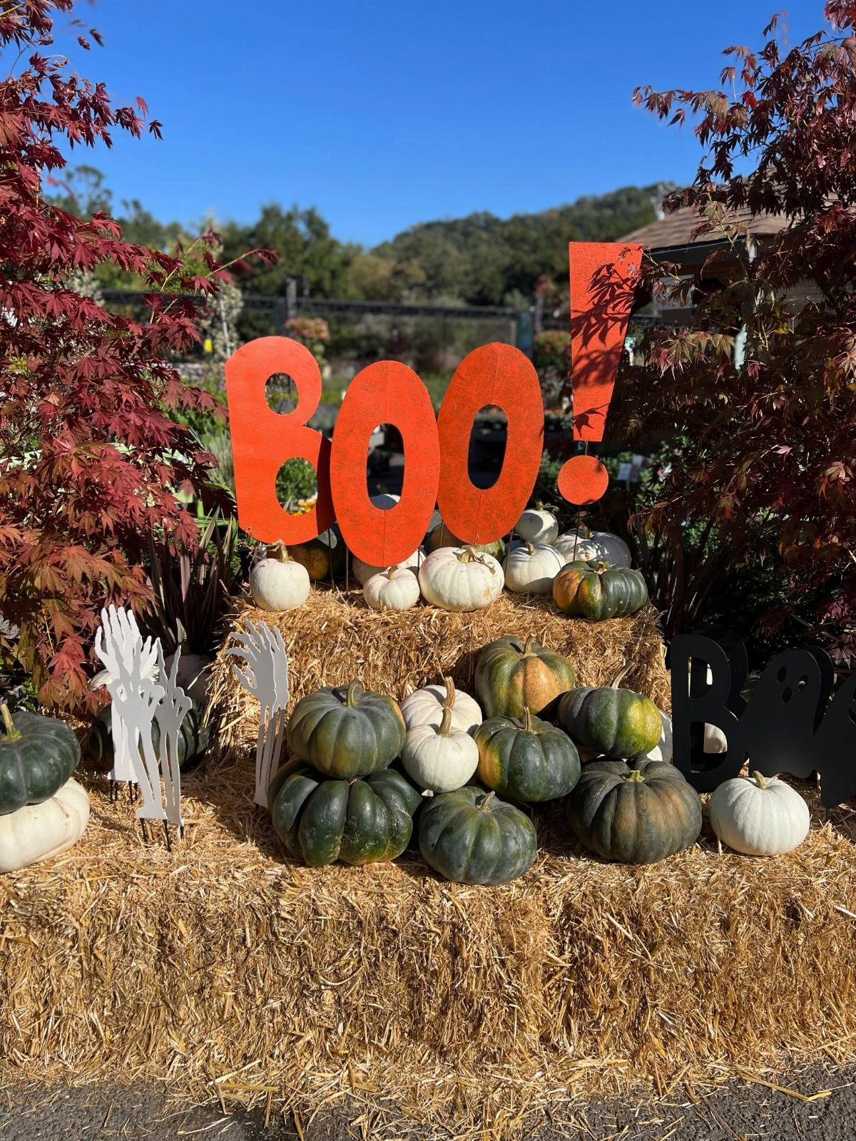 Orange BOO letters and assorted pumpkins arranged on hay bales with skeletal hands.