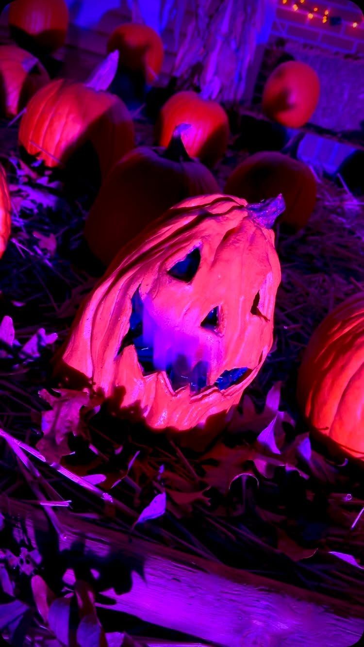 Carved jack-o'-lanterns glowing under purple and red lights on a leaf-covered ground.