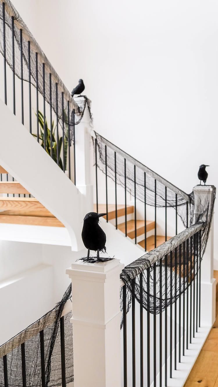 Black crows perched on white stair railings draped with black spiderweb netting.