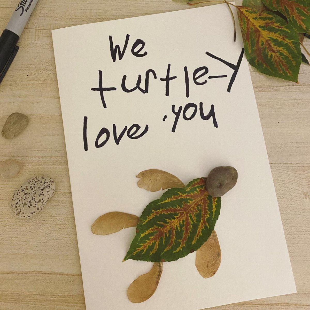 Handmade card with a turtle made from a leaf and pebbles on wood