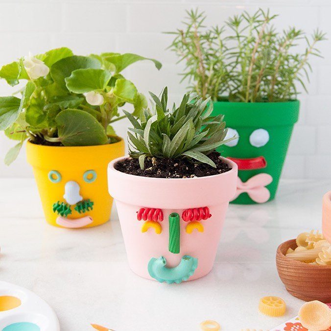Colorful planters with funny faces made from dried pasta holding small green plants