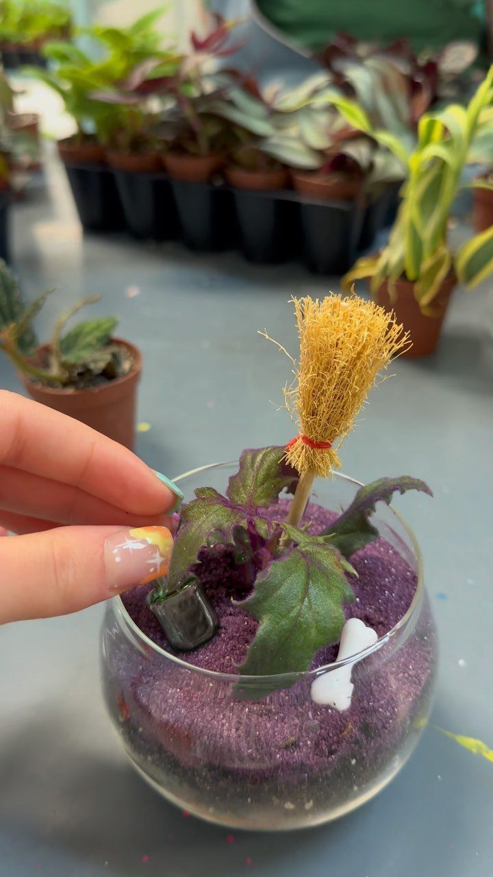 Small plant and miniature broom in a glass bowl with purple sand.