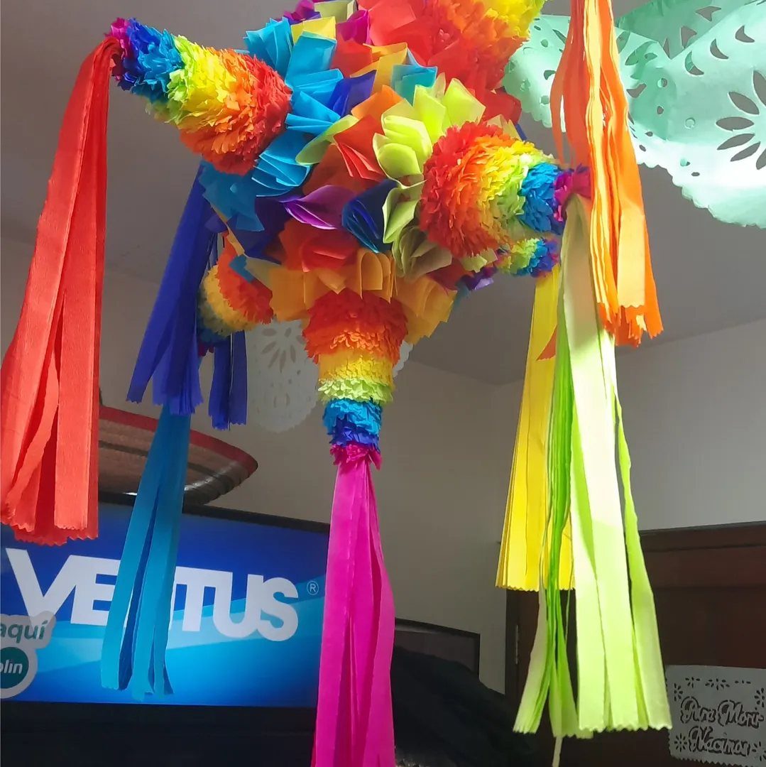 Rainbow colored fringed paper piñata hanging indoors with colorful tissue paper streamers.