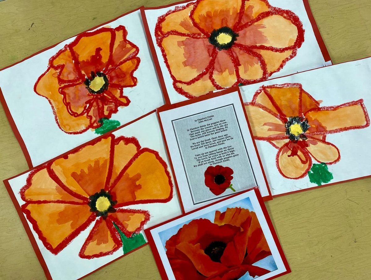 Hand-colored red and orange poppy drawings on white cards for Veterans Day.